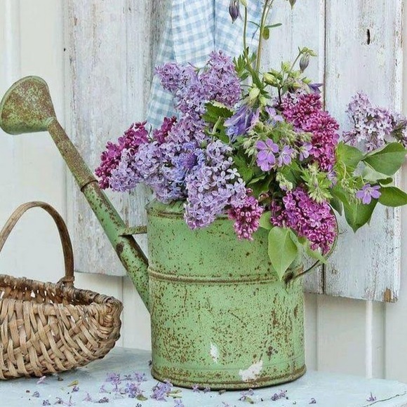 Meet your Posher, Karen - Picture 1 of 1